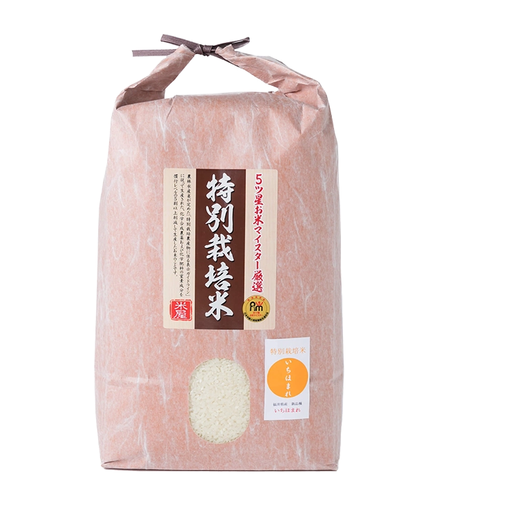 トップページ
