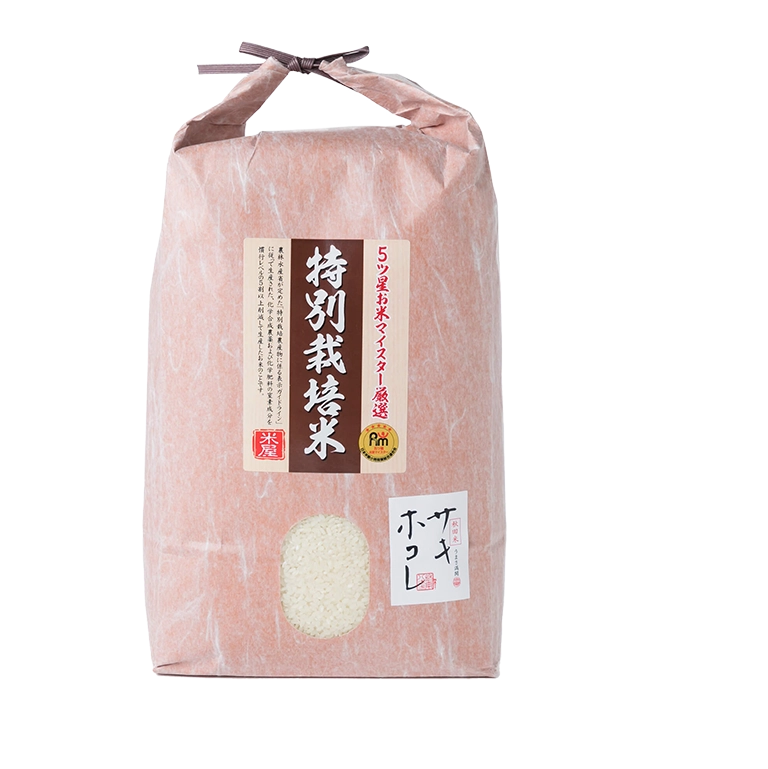 トップページ