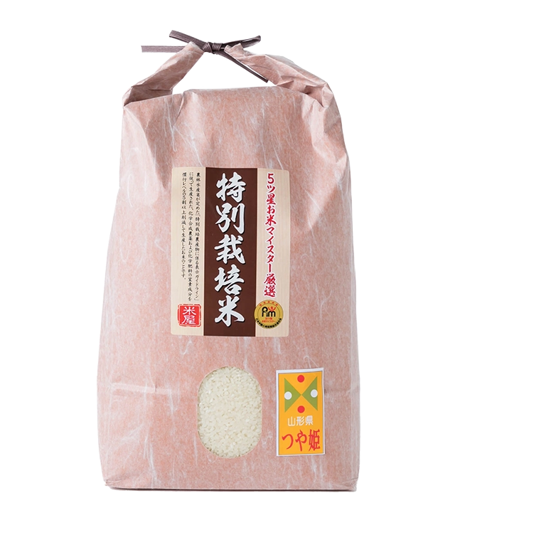 トップページ