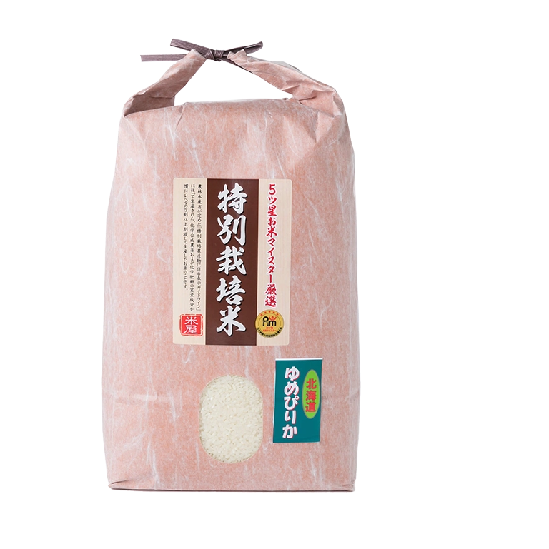 トップページ